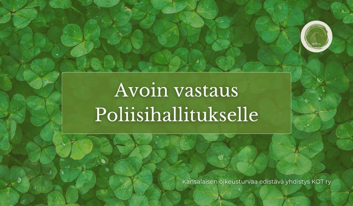 Avoin vastaus Poliisihallitukselle | lapsen oikeudet lähisuhdeväkivaltatilanteissa.