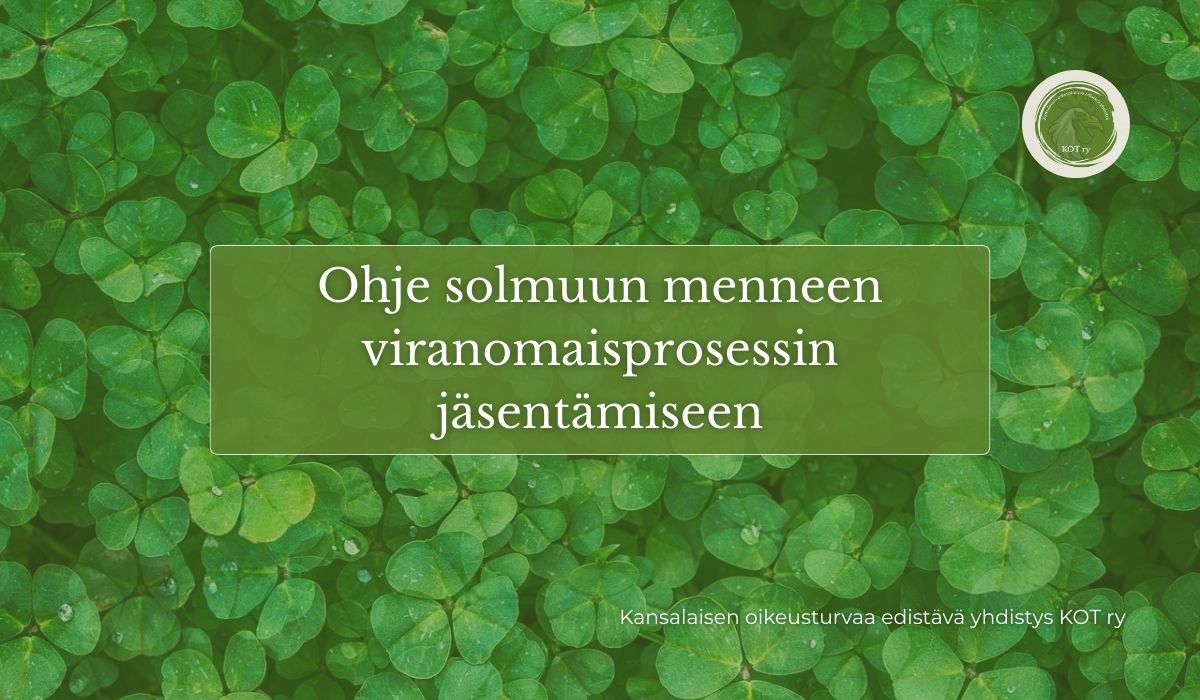 Viranomaisketju ja oikeusturva - ensimmäinen askel tilanteen ymmärtämisessä on rakentaa selkeä kokonaiskuva siitä, mitä todella on tapahtunut.
